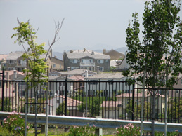 Click on thumbnail image for enlargement