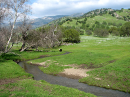 Click on thumbnail image for enlargement